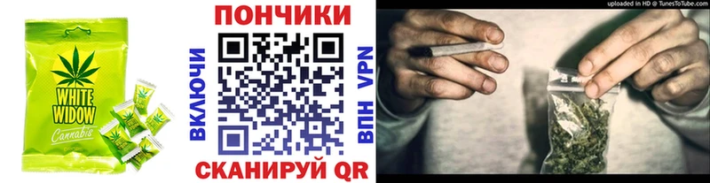 Cannafood конопля  продажа наркотиков  Кудрово 