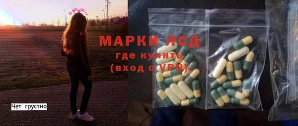 прущий лед Алзамай