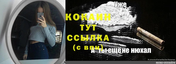 прущий лед Алзамай