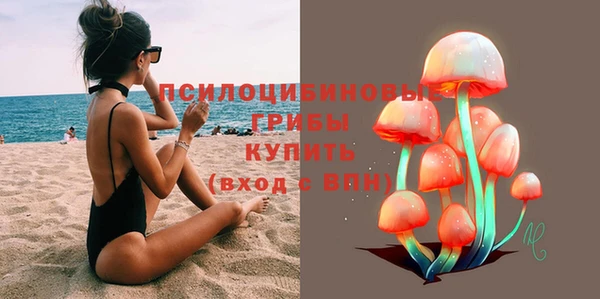 гидропоника Алексеевка