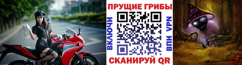 Галлюциногенные грибы ЛСД  Кудрово 